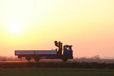 cargo-dump-truck