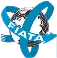 fiata.png